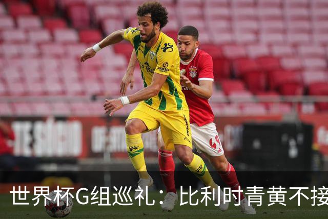 世界杯G组巡礼：比利时青黄不接 伊朗赴美参赛风波不断